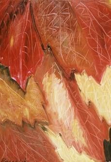 Feuilles d’automne - Huile sur toile 73 x 54