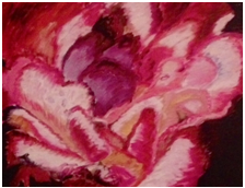 Coeur de rose - Huile sur toile 60 x 73